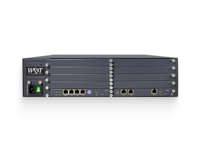 IP АТС W&T-NS700
